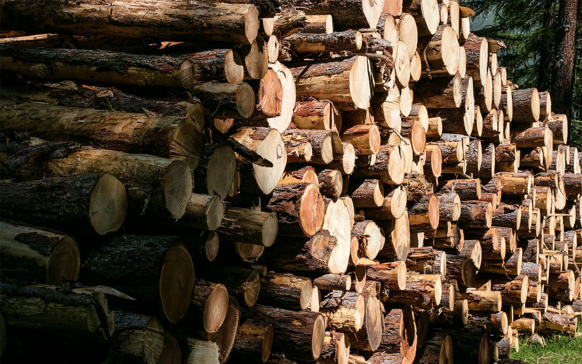 Da una vallata: i possessori di una casa della luna sanno da dove provengono le materie prime. Si sentono partecipi della sua creazione. Dall'albero nel bosco...