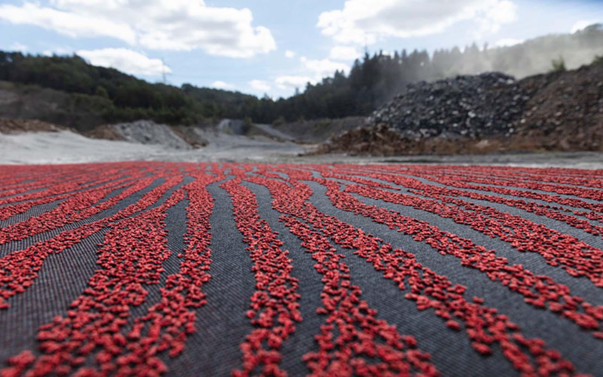 I tappeti tessuti della collezione «Field» ricordano prati rigogliosi, gole rocciose e campi fioriti. Queste analogie paesaggistiche sono addirittura tangibili grazie alla particolare struttura della superficie. «Fields» riduce al minimo gli inquinanti nell'aria, migliorando l'acustica della stanza. Foto: Carpet Concept, Foto: HG Esch