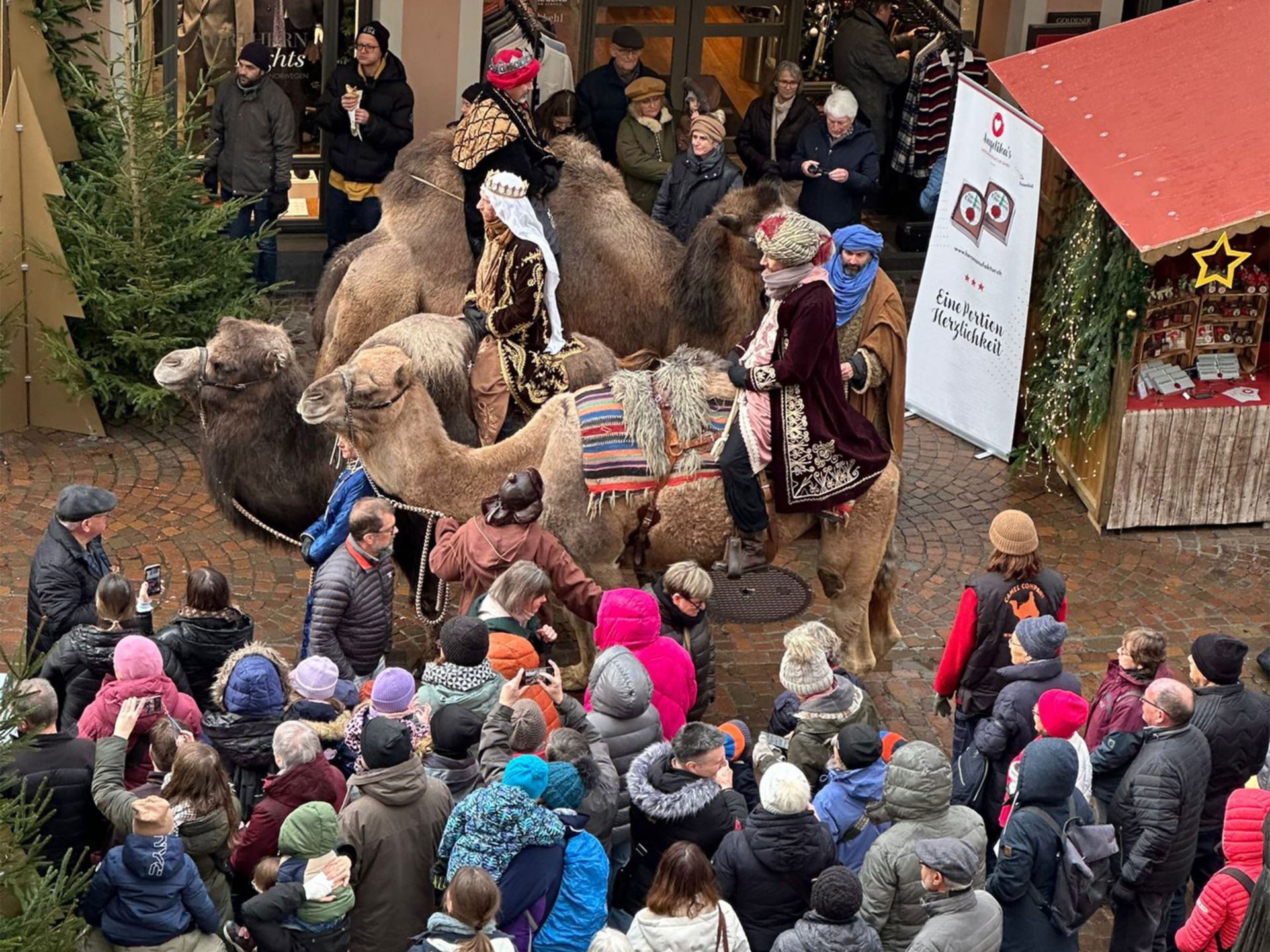 Kamele Weihnachtsmarkt