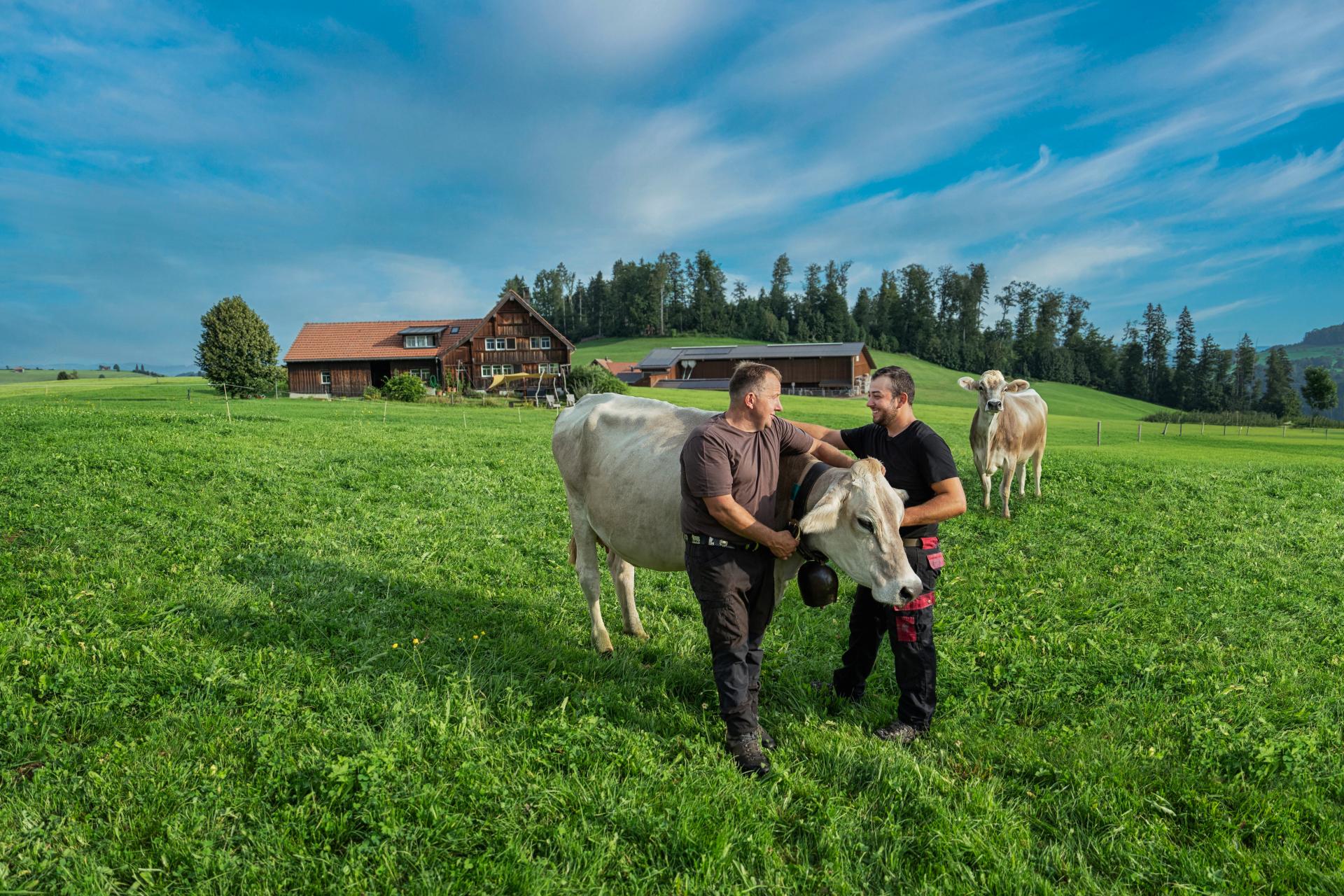Klarheit in Ihrer Vorsorge