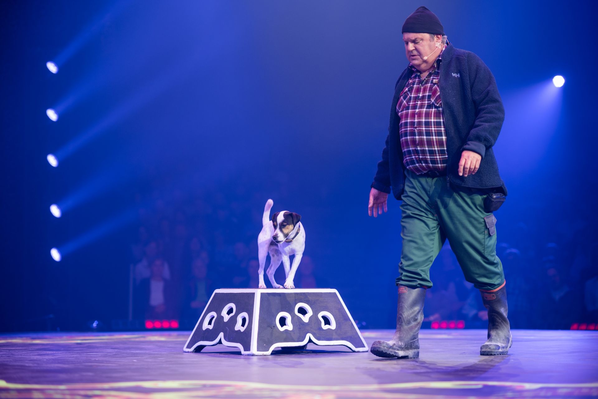 Mitgliederanlass Circus Knie 2025