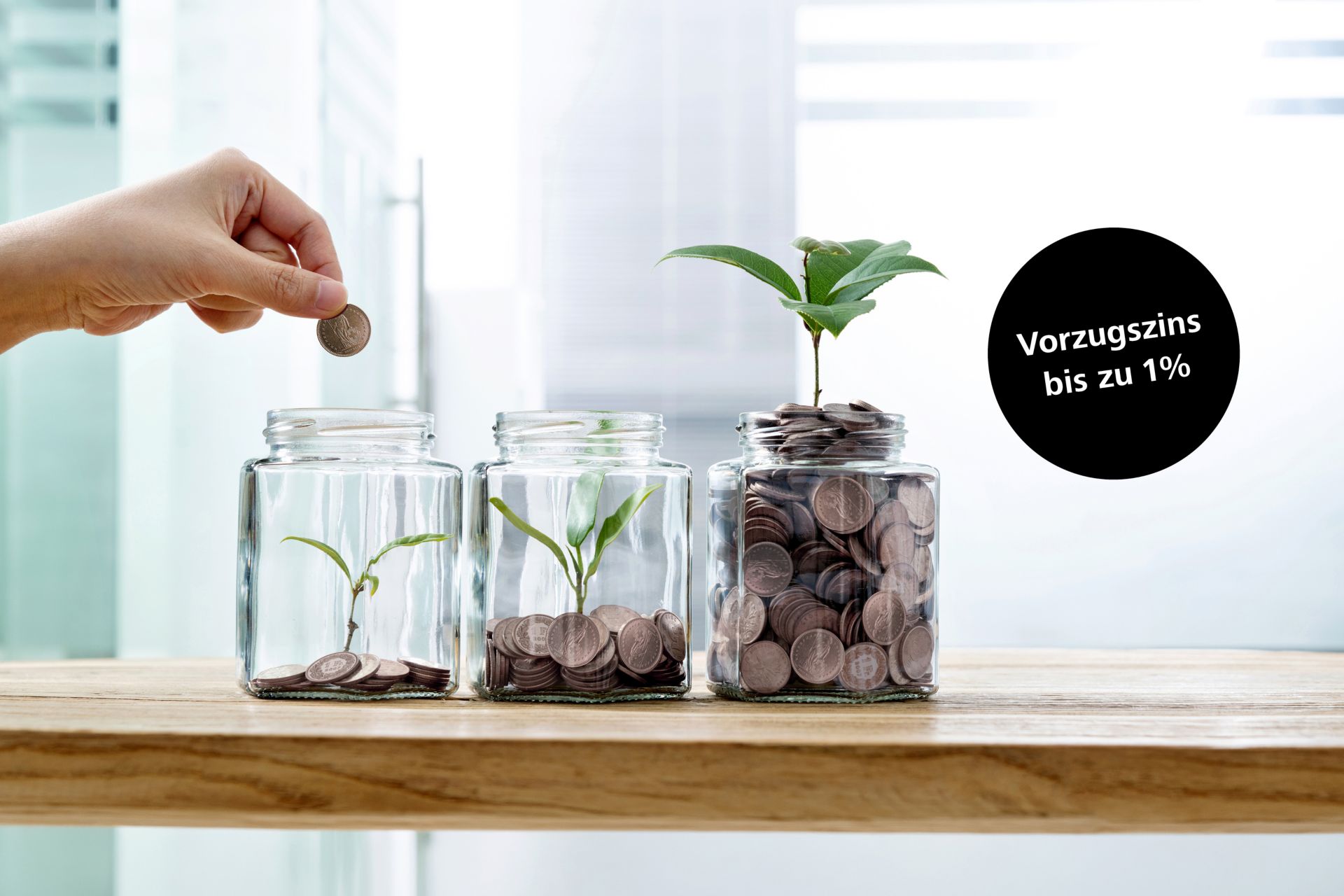 Teaser Bild