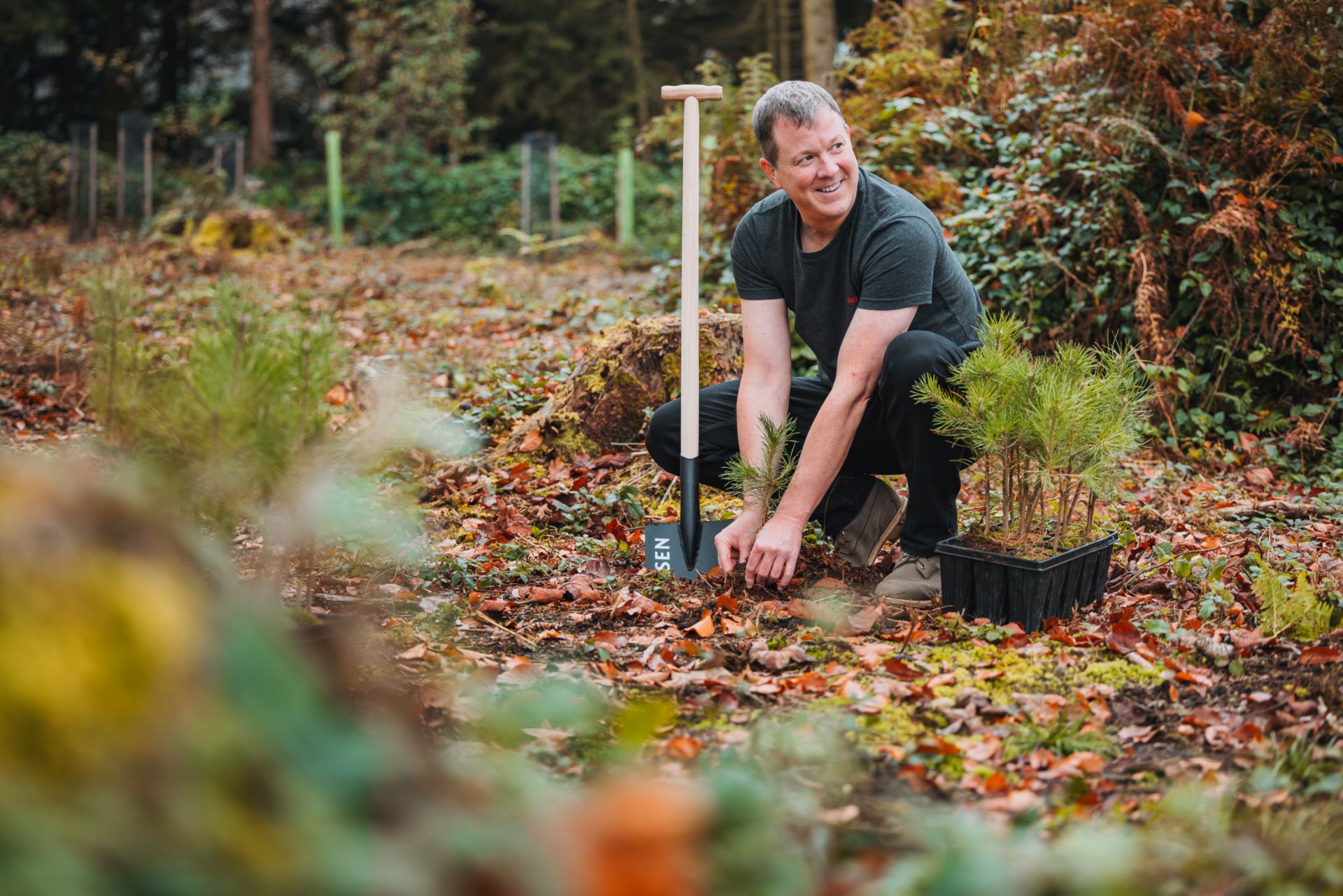 baum-pflanzen-raiffeisen-luzern-aufforstung-rontal