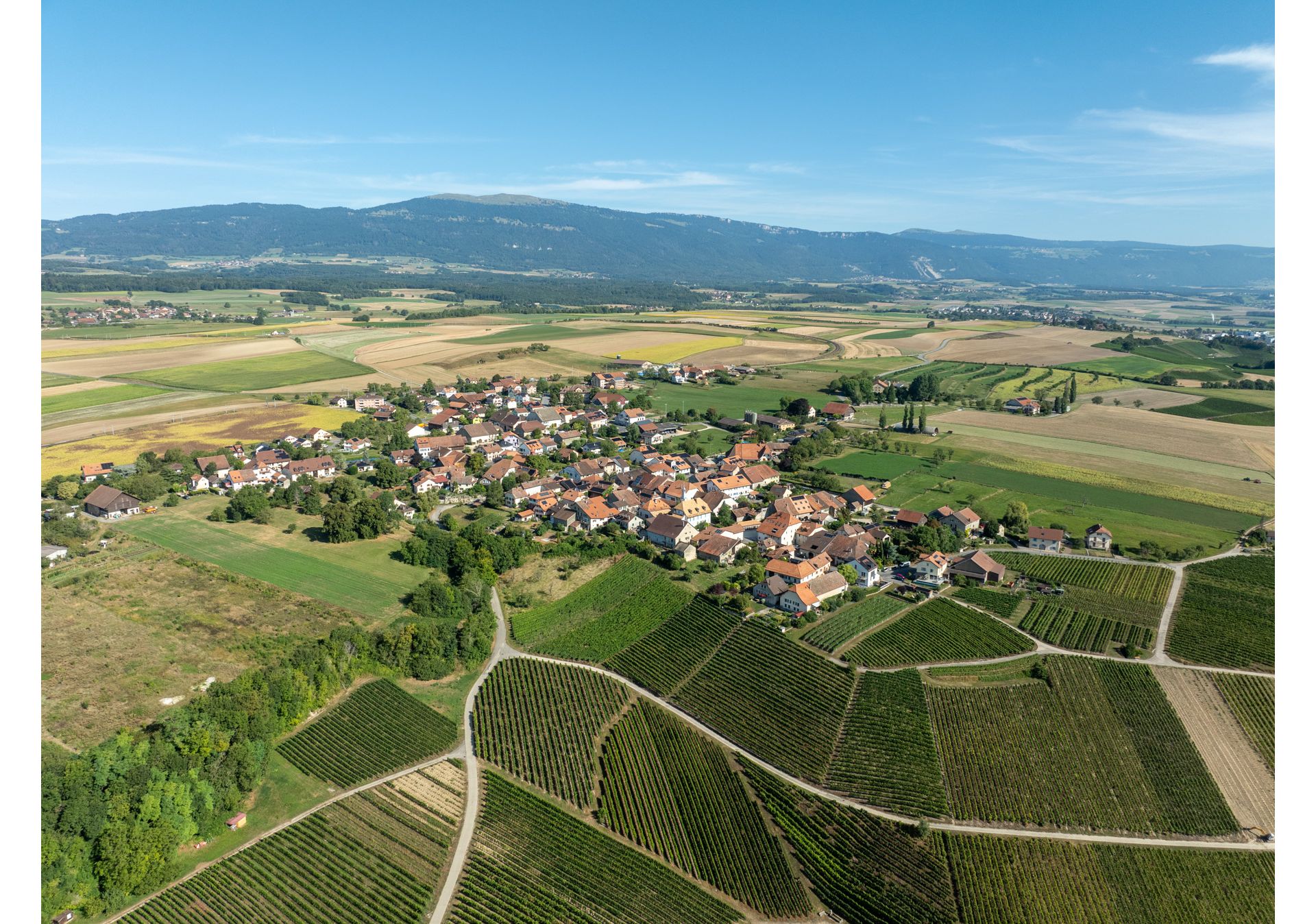 Commune d'Arnex-sur-Orbe