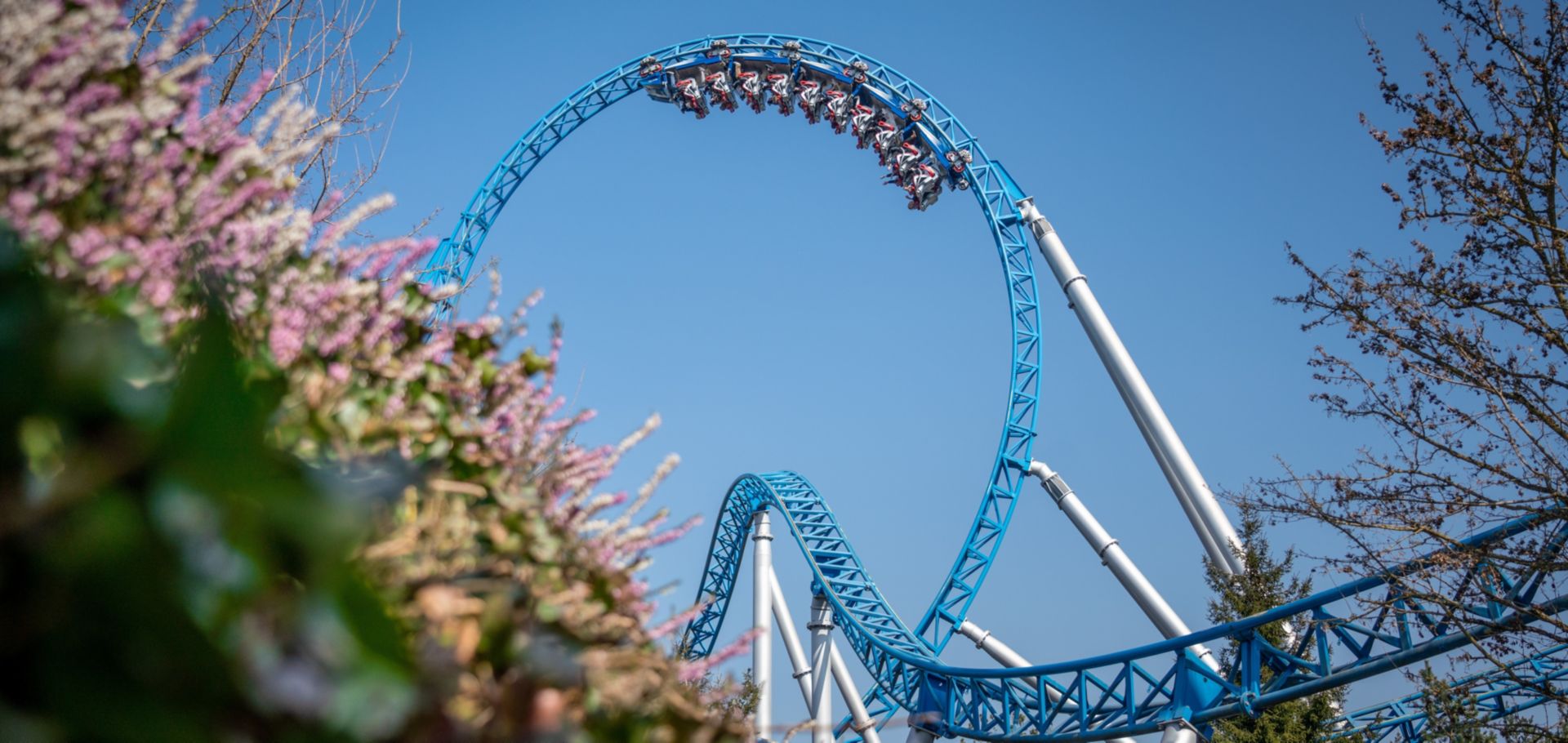 Tagesausflug in den Europa-Park