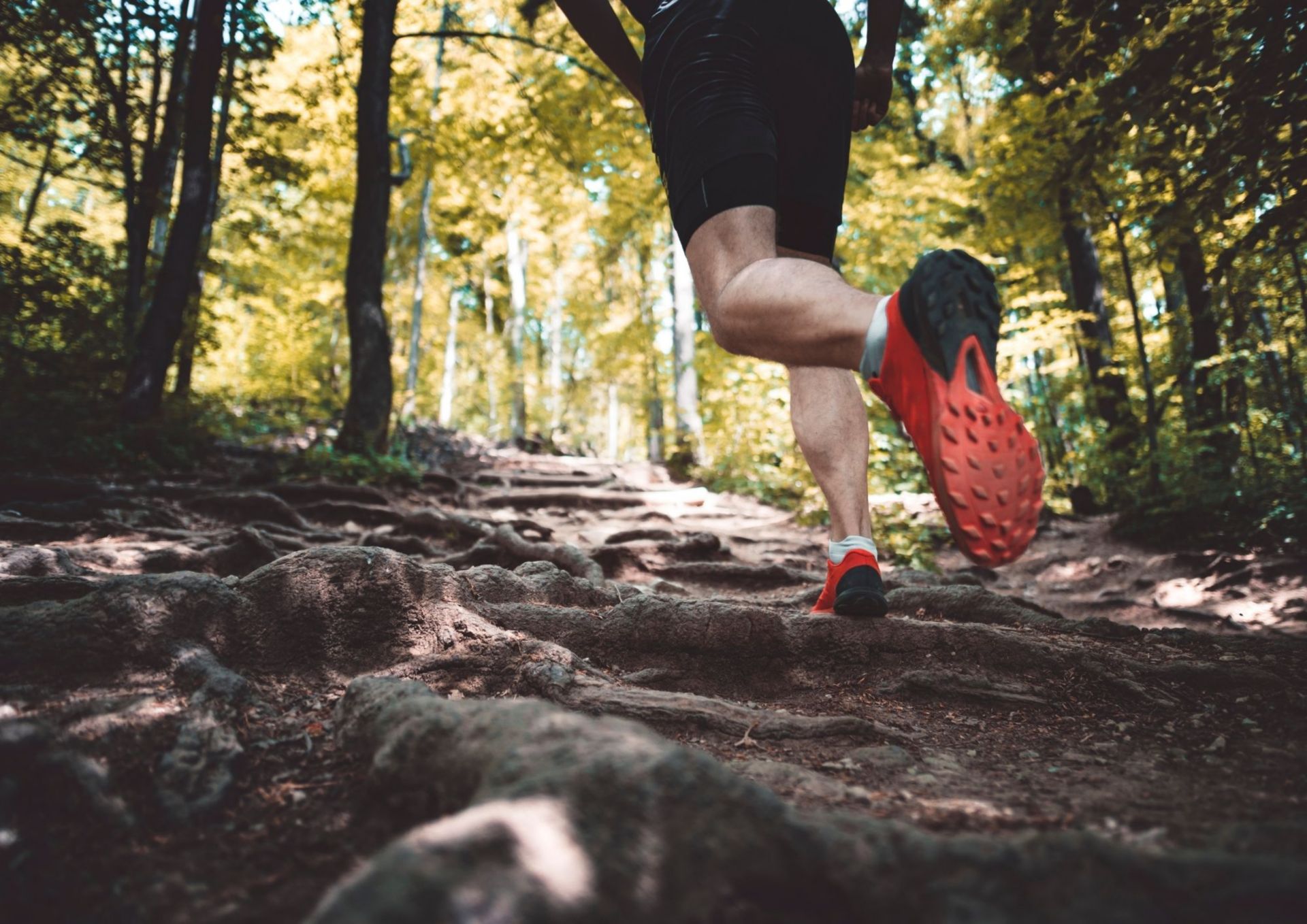 Image d'ambiance - Cross des Papillons