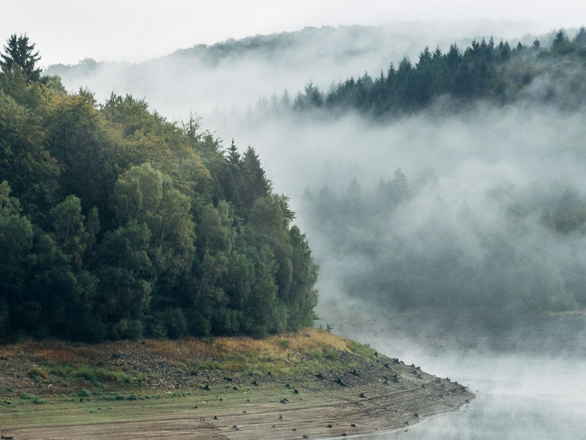 Geschäftsbericht 2021