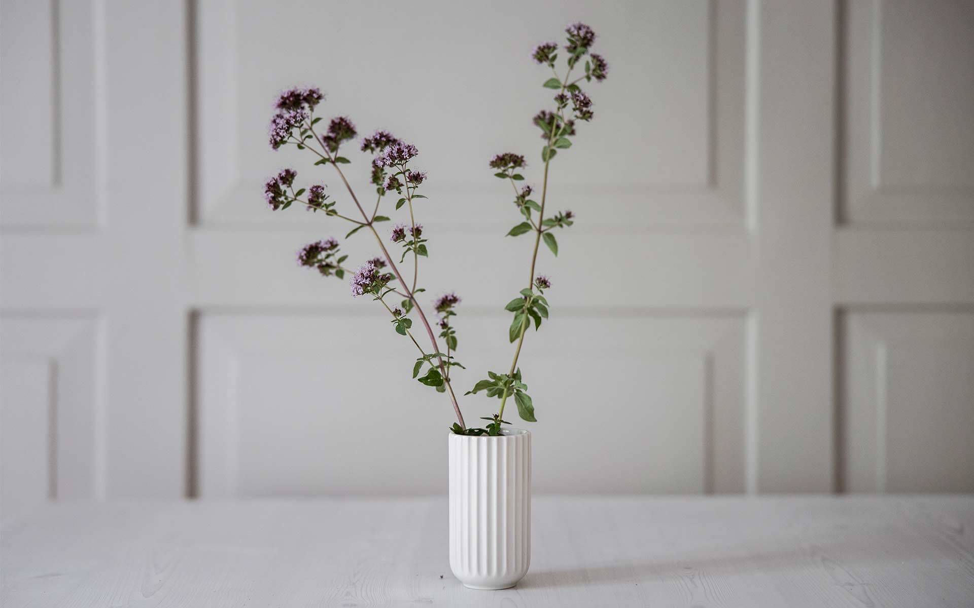 Natura morta con fiori di campo in vaso Lyngby