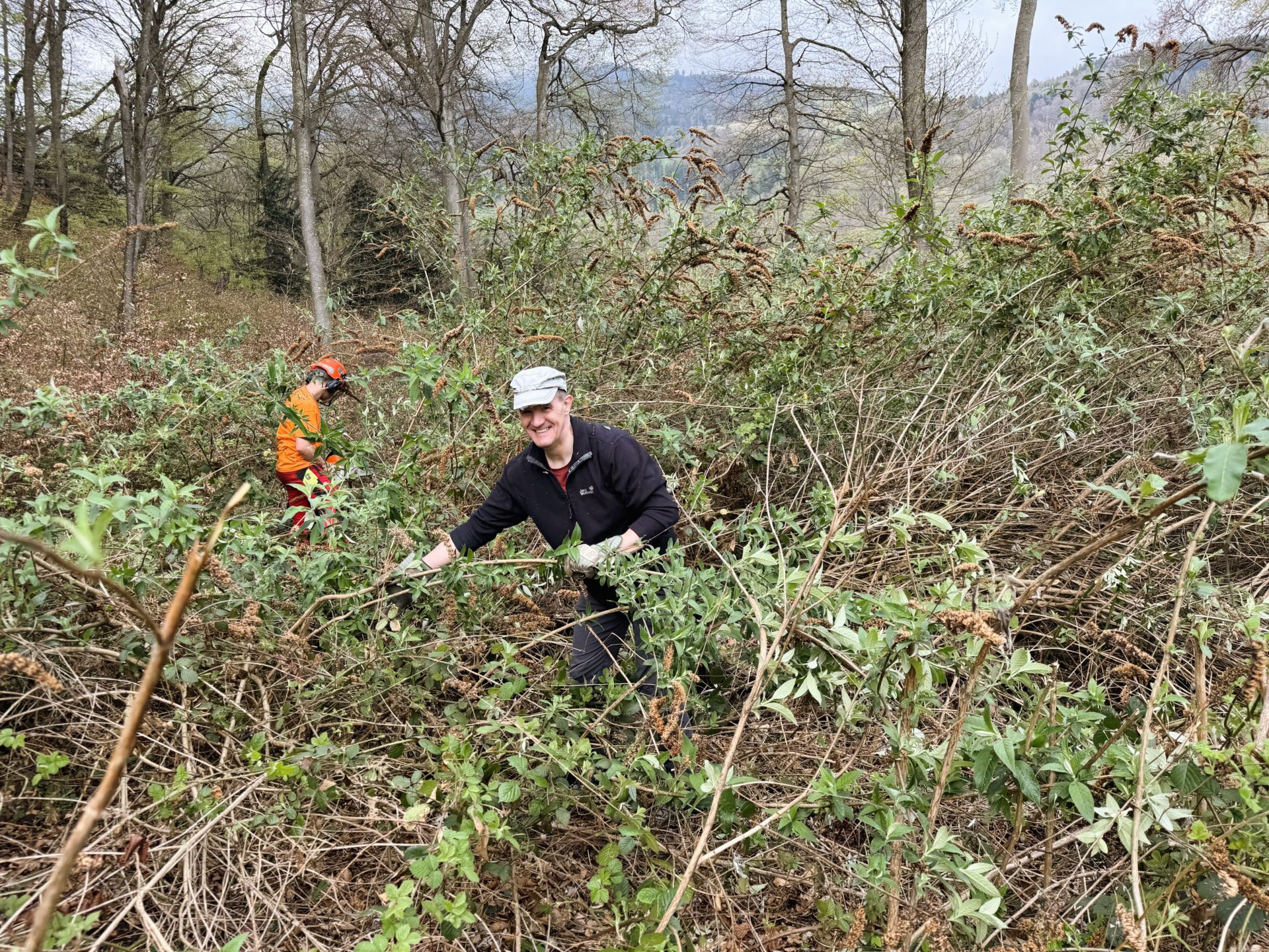 Waldtag2026