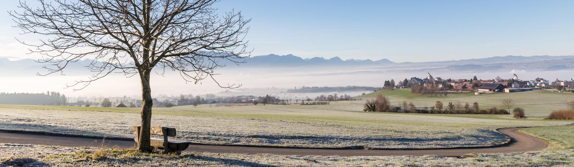 Herzlich willkommen bei der Raiffeisenbank Oberseetal