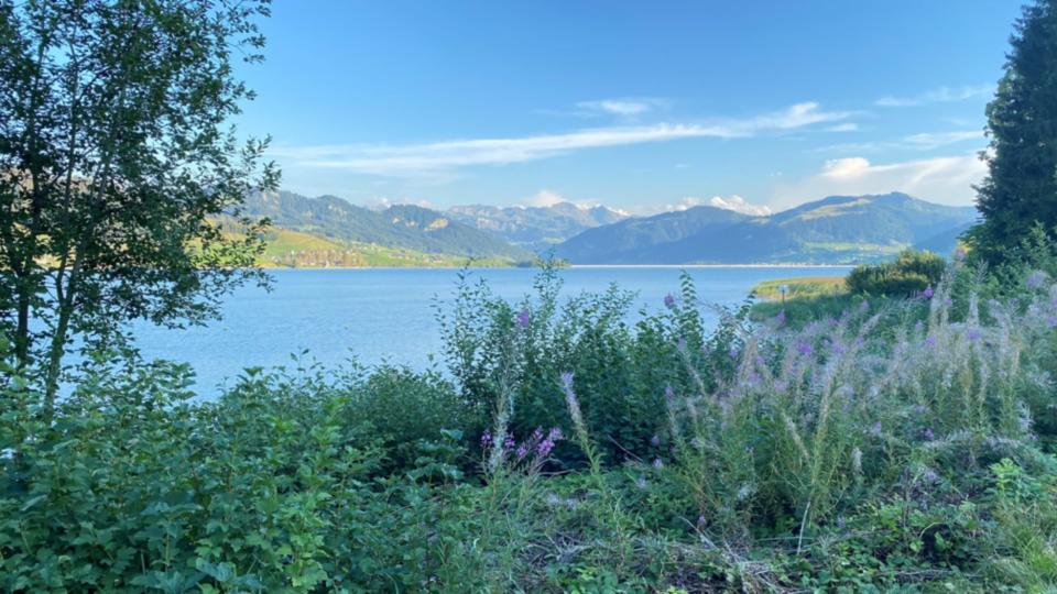regioneinsiedeln-ybrig