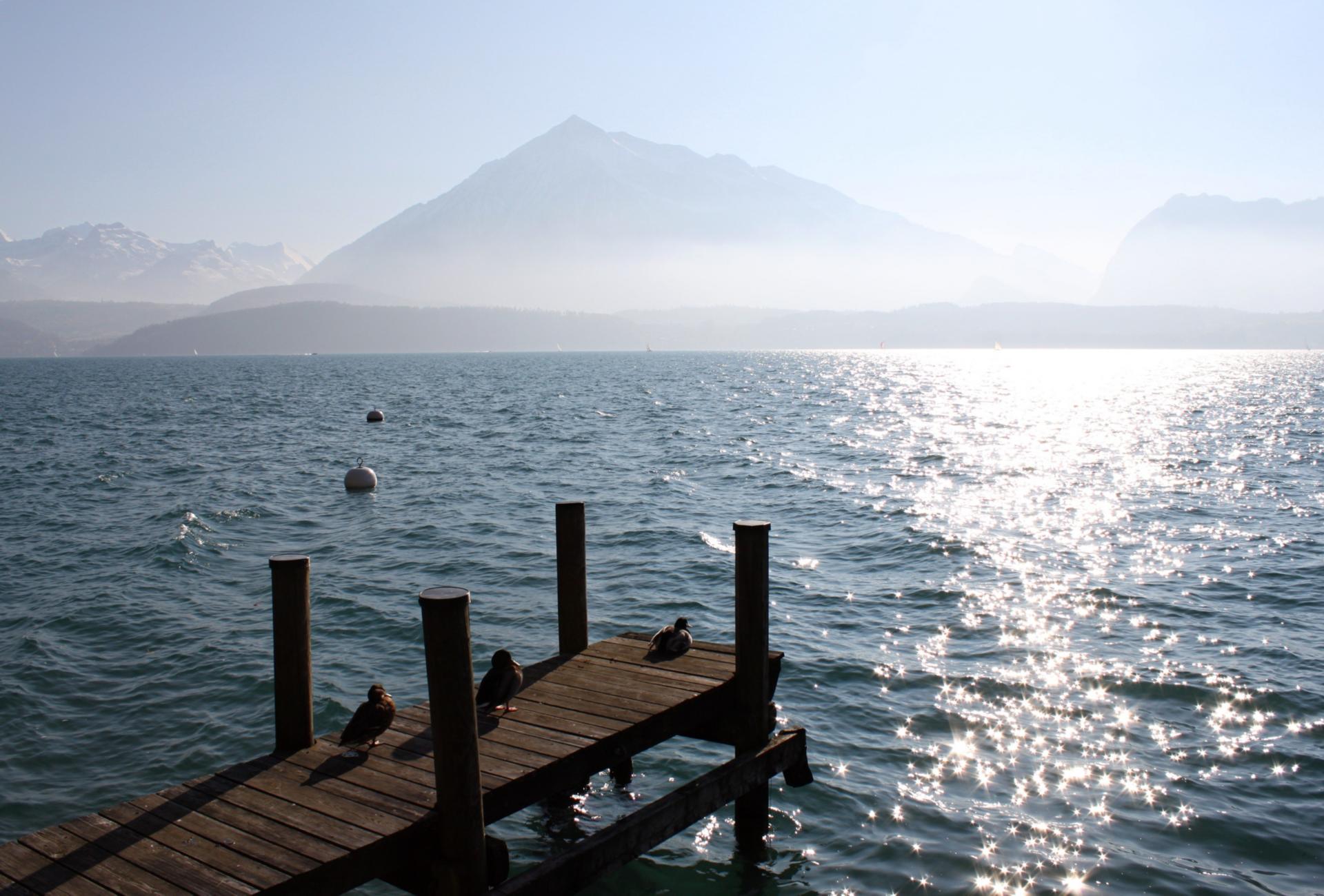 Thunersee und Niesen