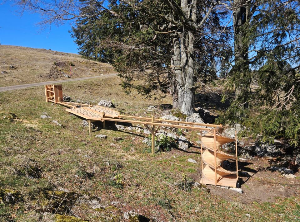 Rapport de gestion de cette année