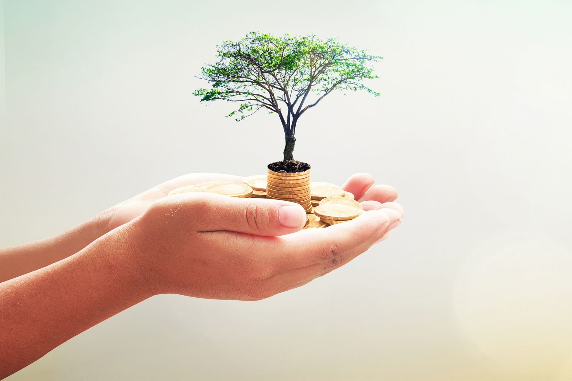 Hand mit Baum und Geld gefühlt