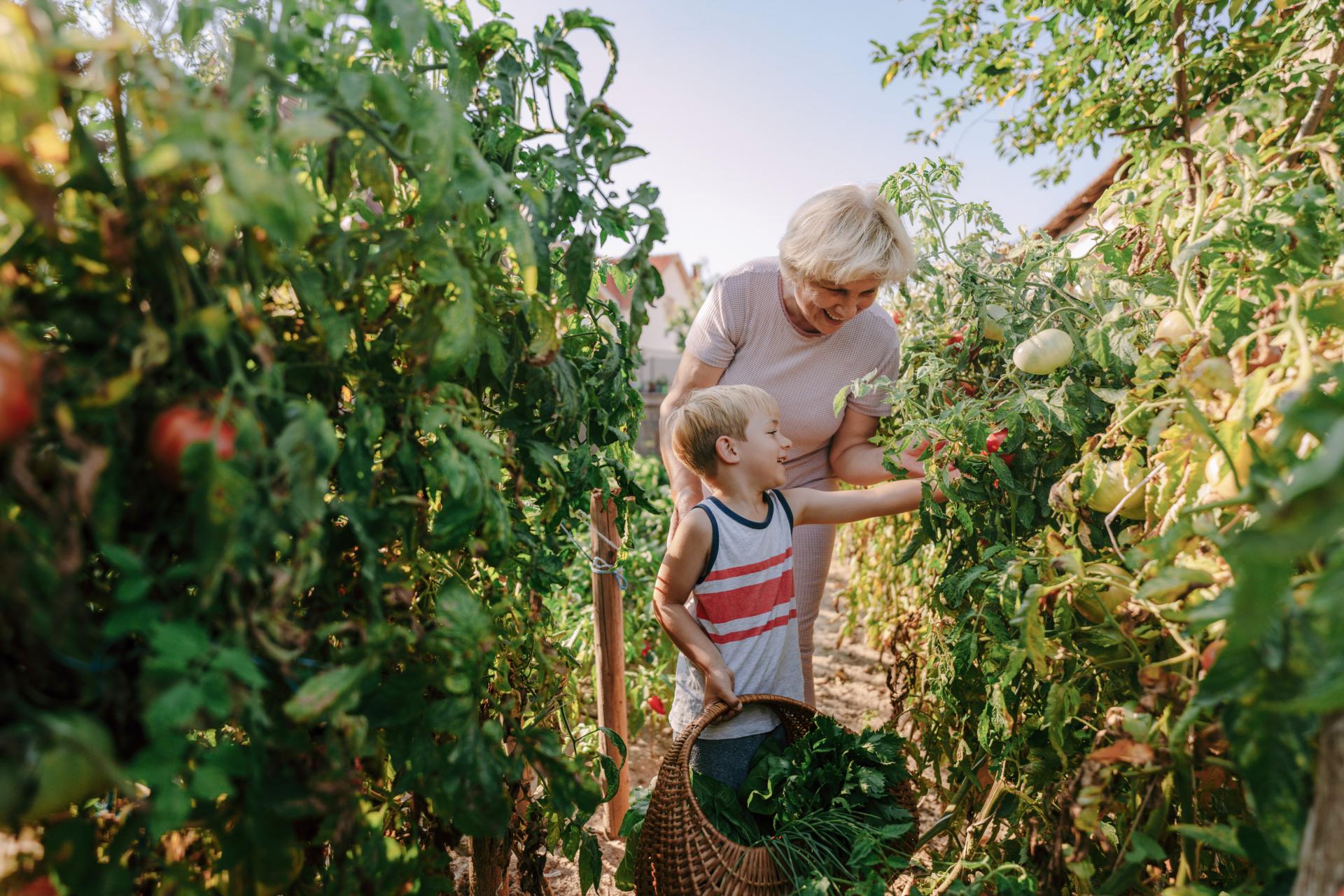 Oma mit Enkel im Garten