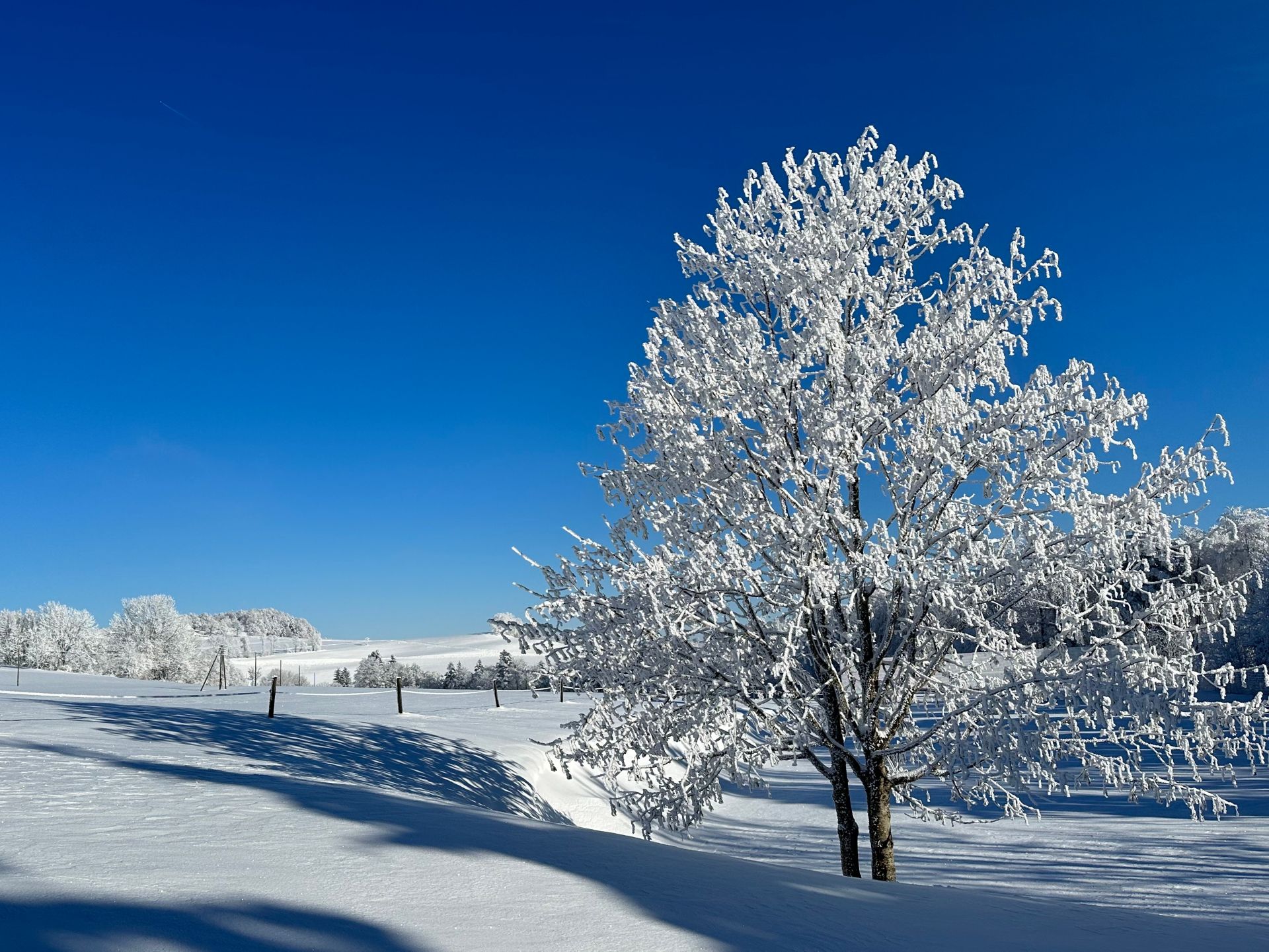 Generalversammlung 2026