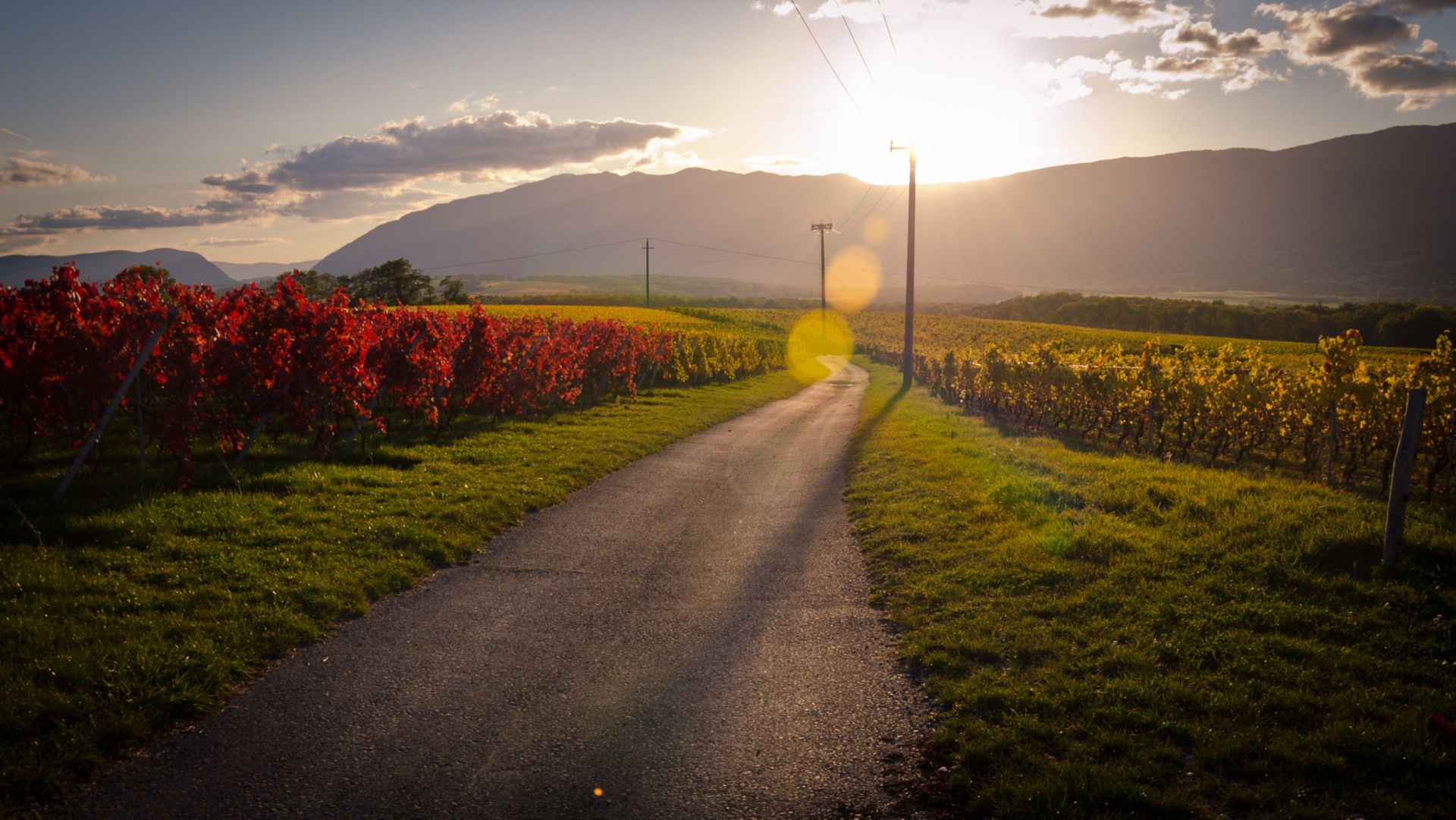 Termingeld-Aktion «Goldener Herbst»