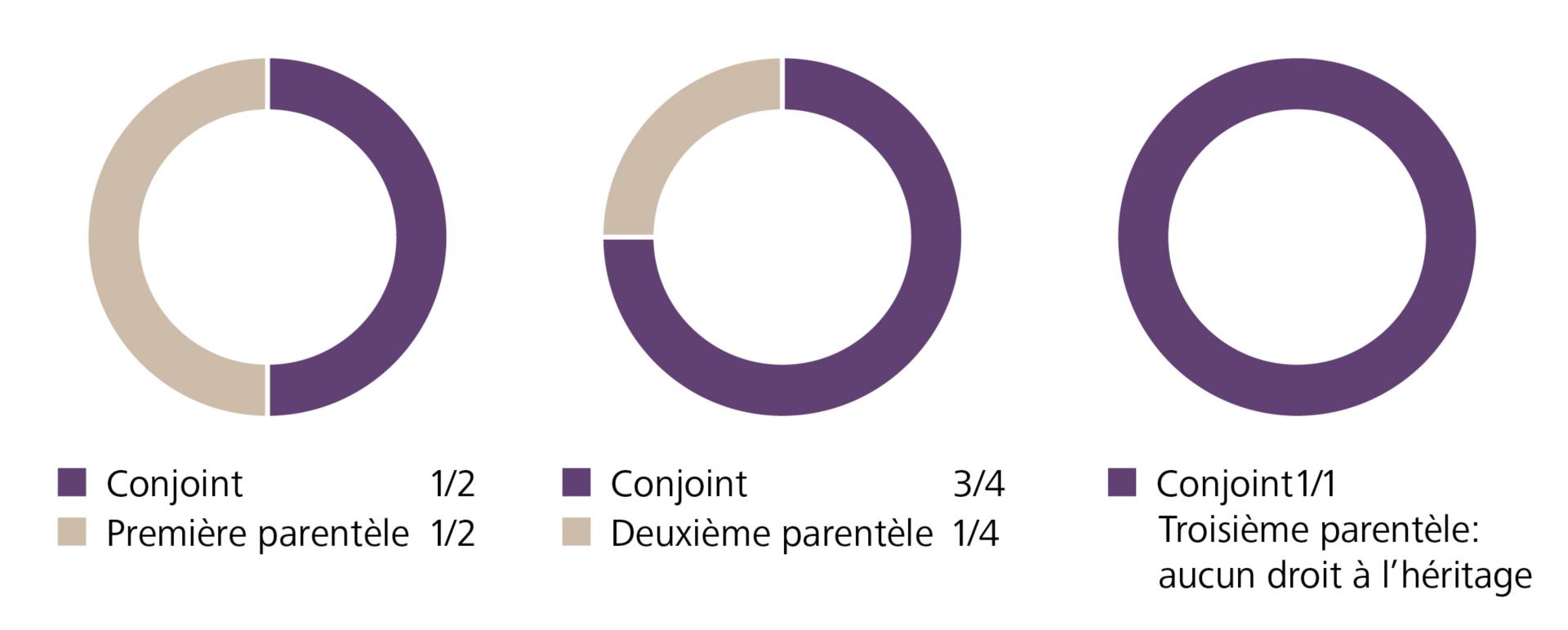 Graphique sur le partage successoral et le droit à l’héritage