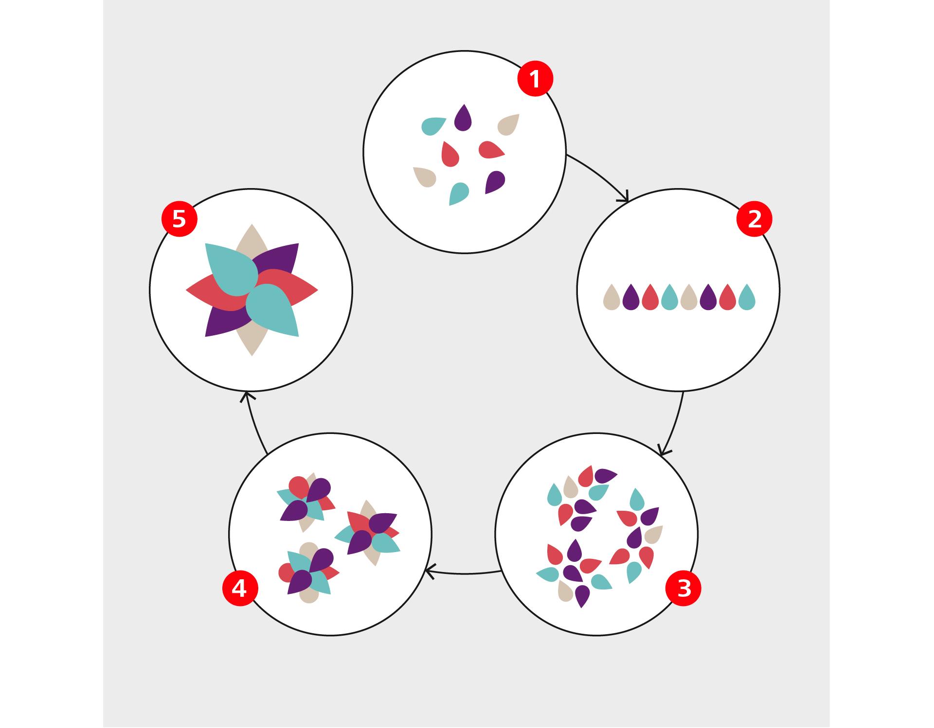 Les phases de la médiation