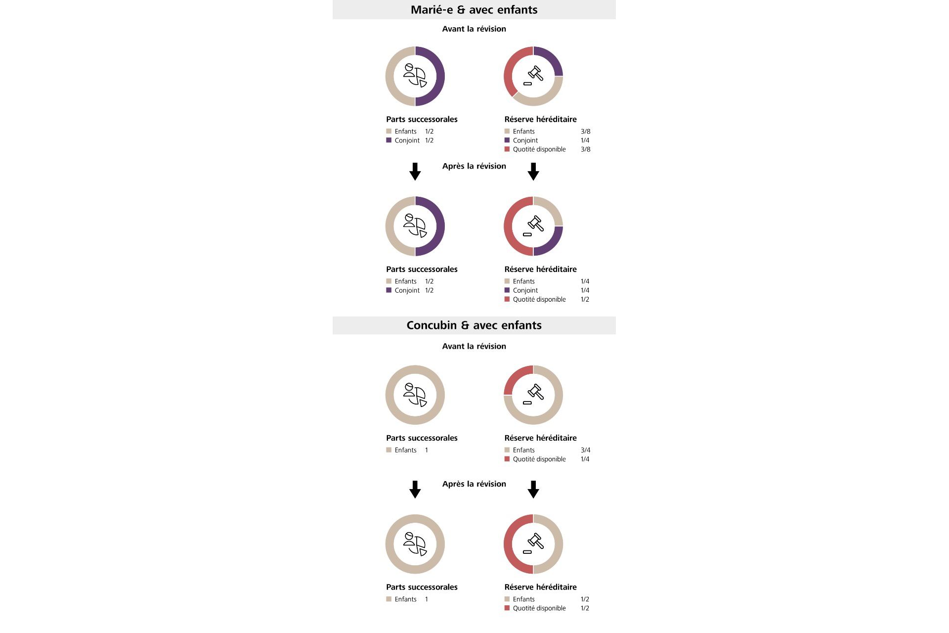 Graphique révision du droit des successions