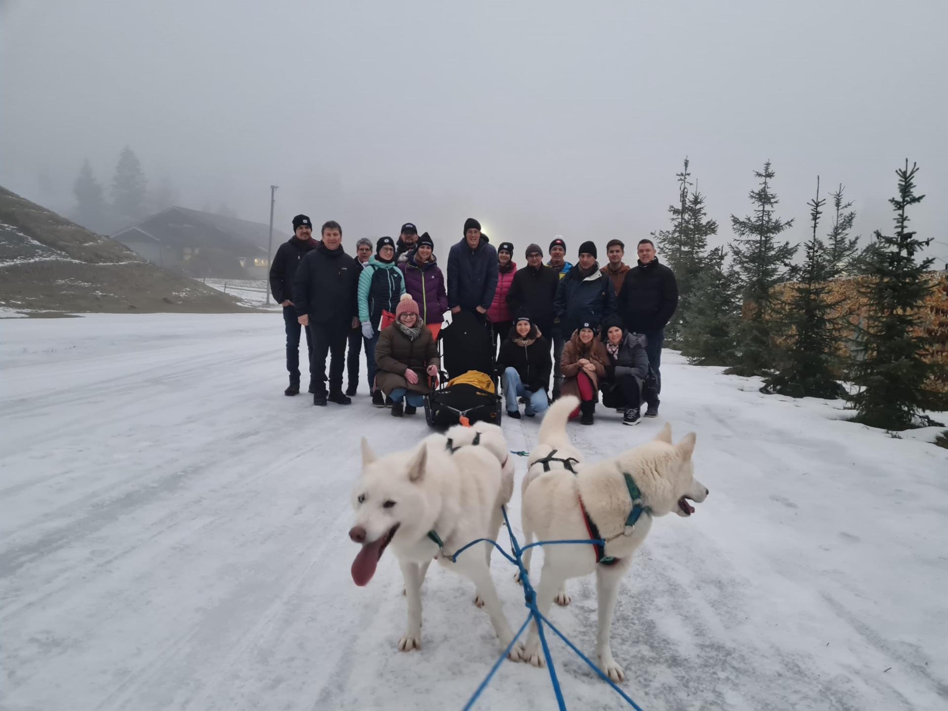 huskies