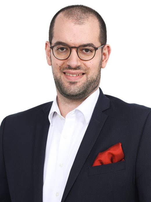 Sérgio Pimento Ferreira - Vermögensberater