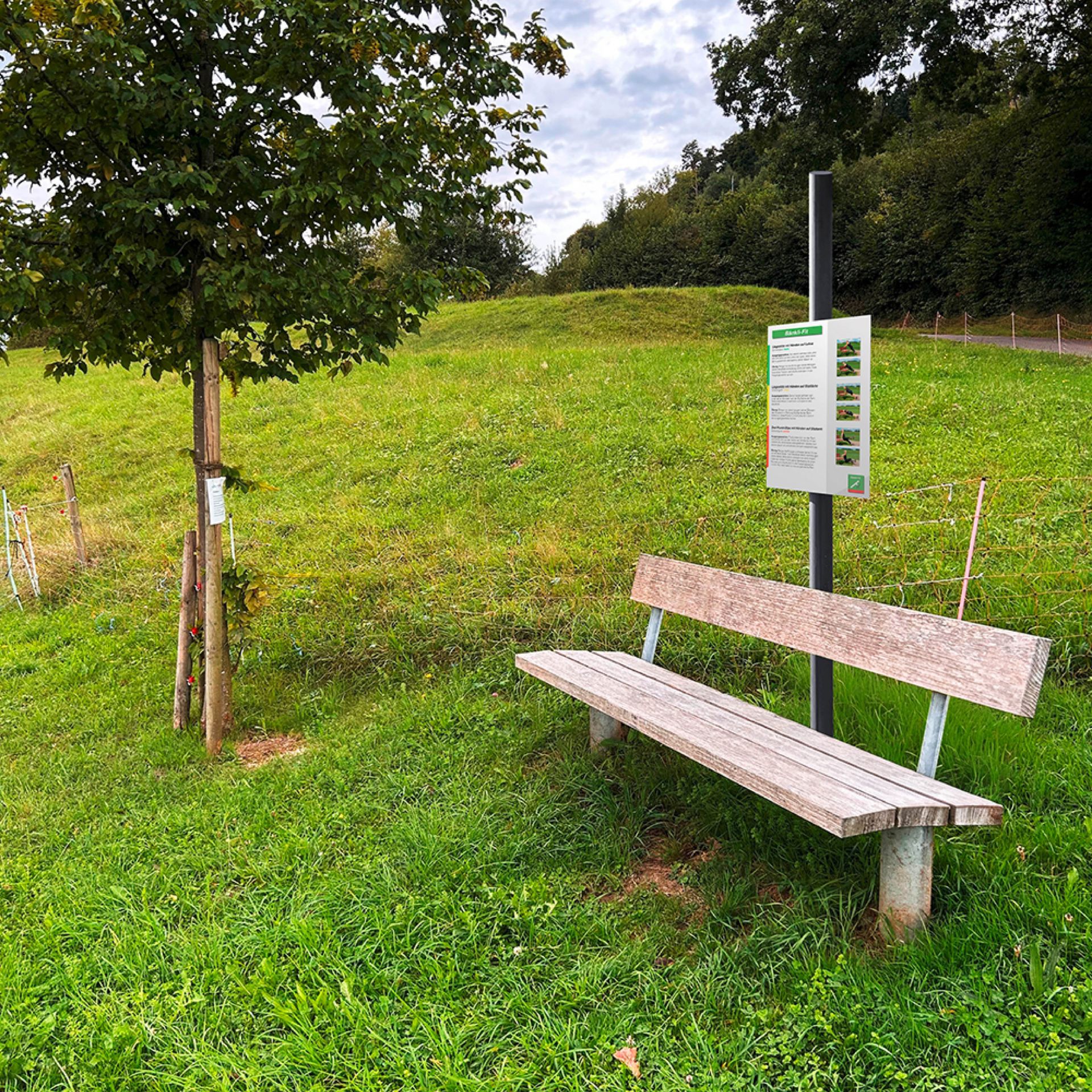 Bänkli-Fit-Weg Zihlschlacht