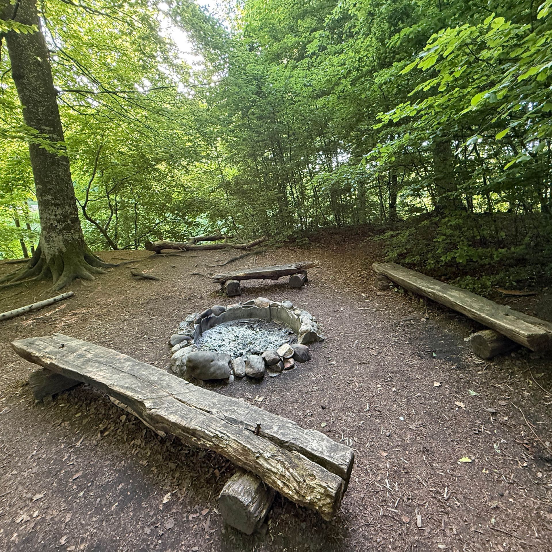 Feuerstelle Bischofsberg