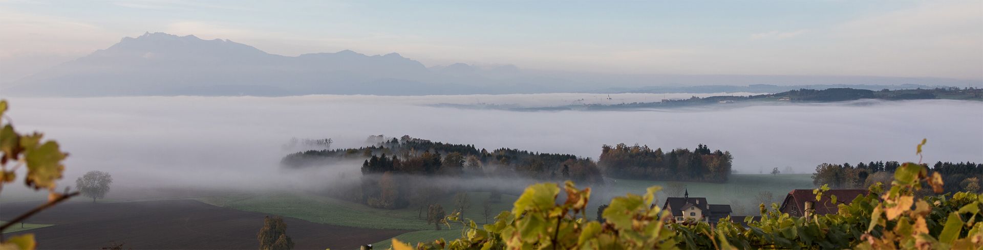 Herzlich willkommen bei der Raiffeisenbank Oberseetal