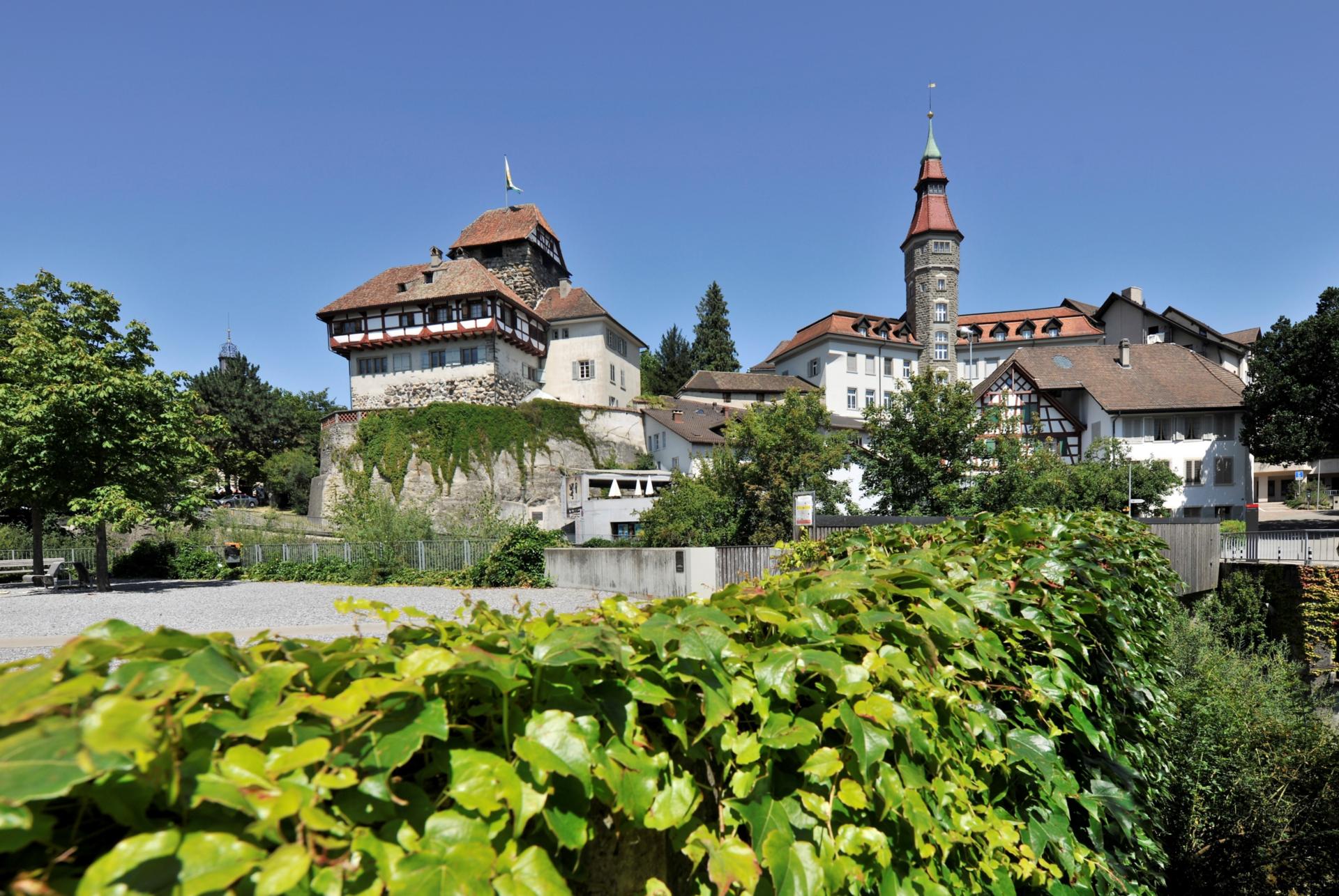 Schloss Frauenfeld