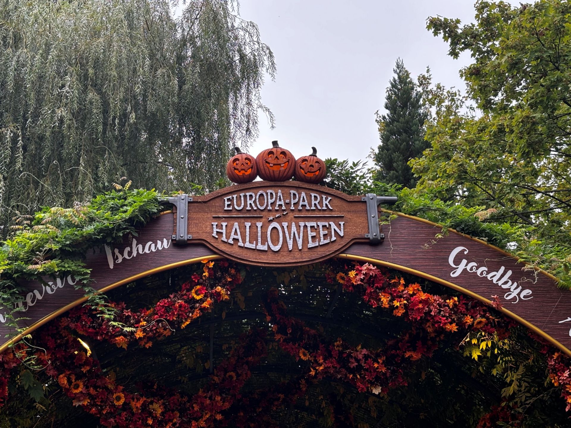Europa Park Rust-YoungMemberPlus-Ausflug