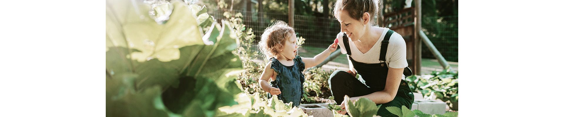 Dividendi – un'indispensabile componente del rendimento