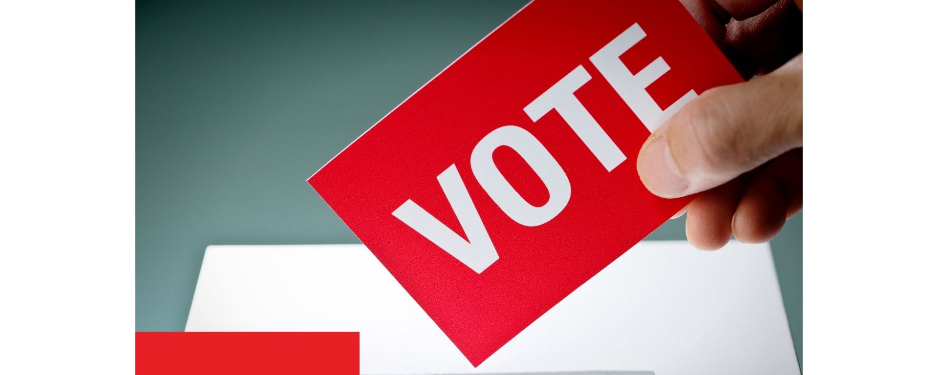 Rapport de gestion de cette année