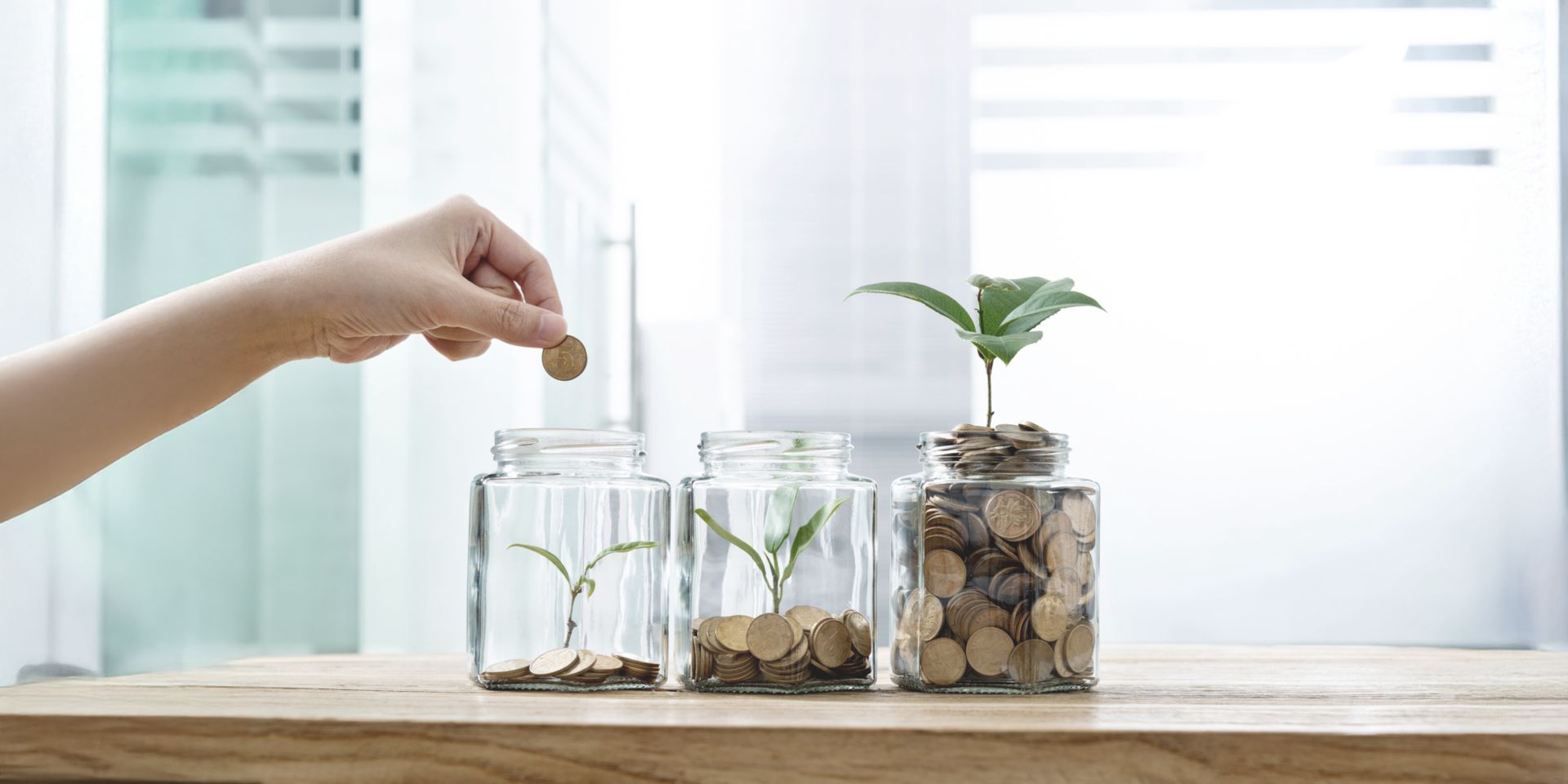 Raiffeisen TRIO-Angebot