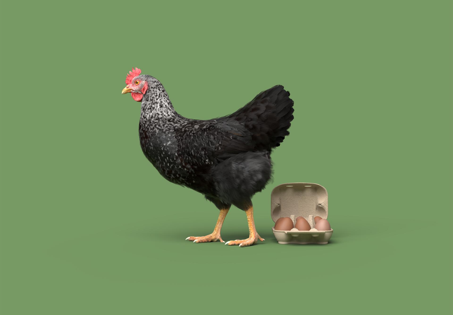 Huhn