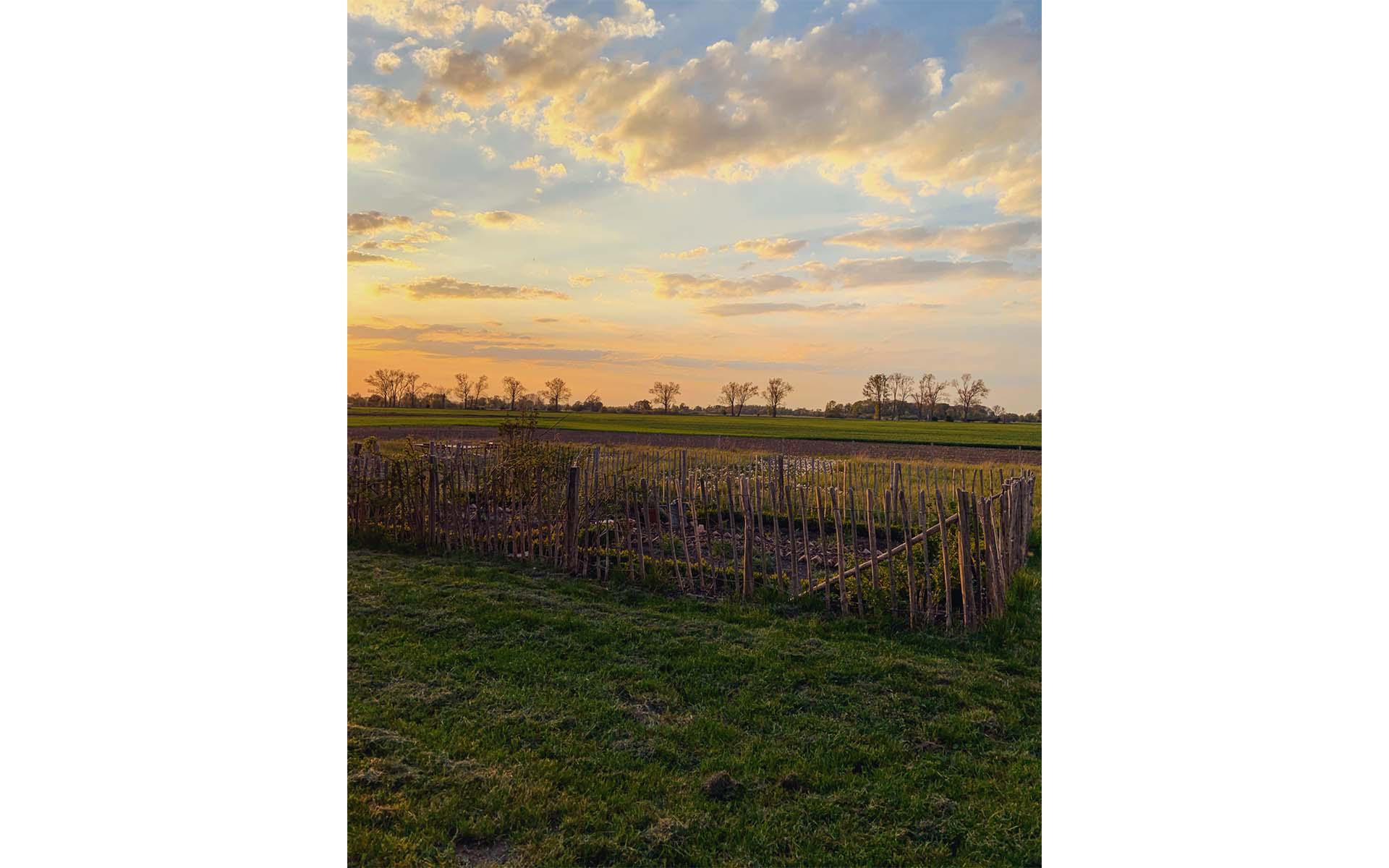 Der Blick über die weiten Felder rund im die Black Cabins lädt zum Träumen ein.