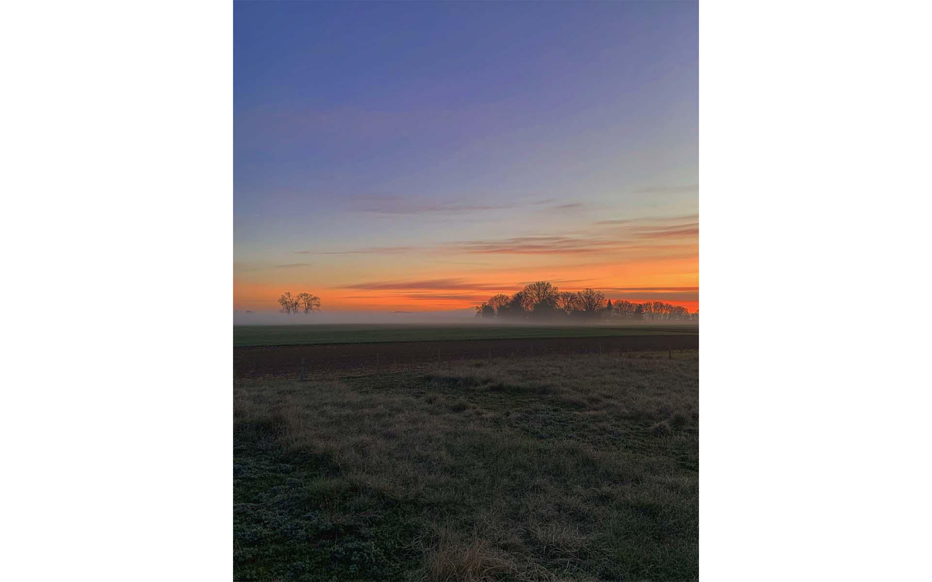 Der Ausblick auf die Auen der Oder bei Sonnenaufgang – mehr Idyll geht nicht.