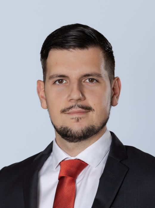 Vojislav Vucetic - Kundenberater